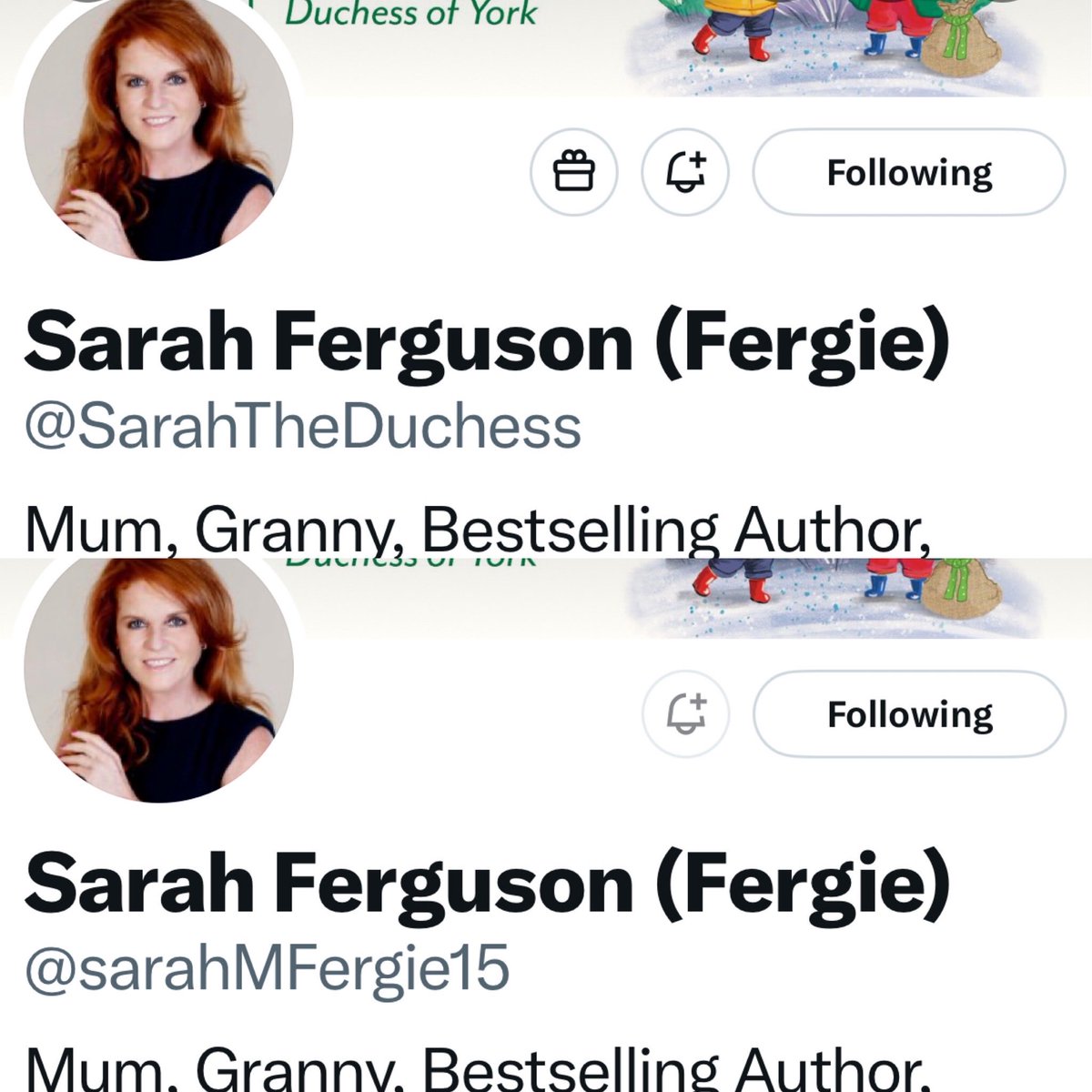 Chris Ship tweet media