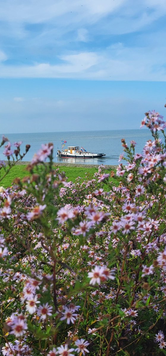 Workum in Friesland