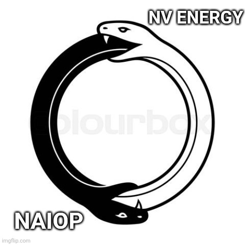 Patrick Donnelly tweet media