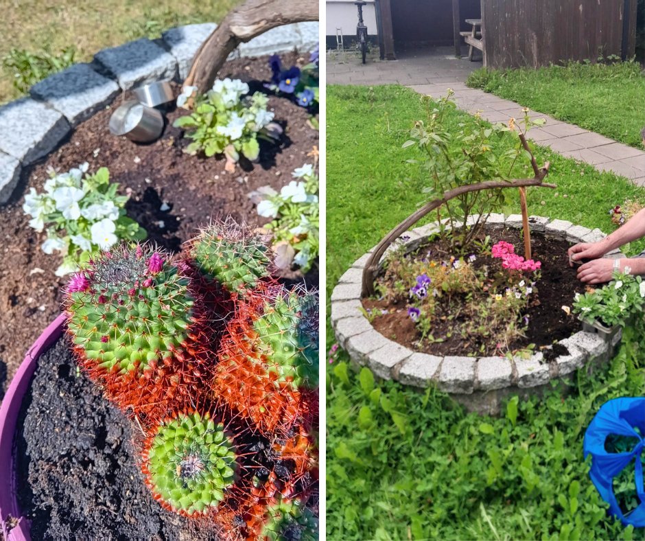 Peter McVerry Trust tweet media