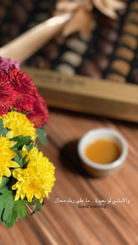 #مساء_الخير