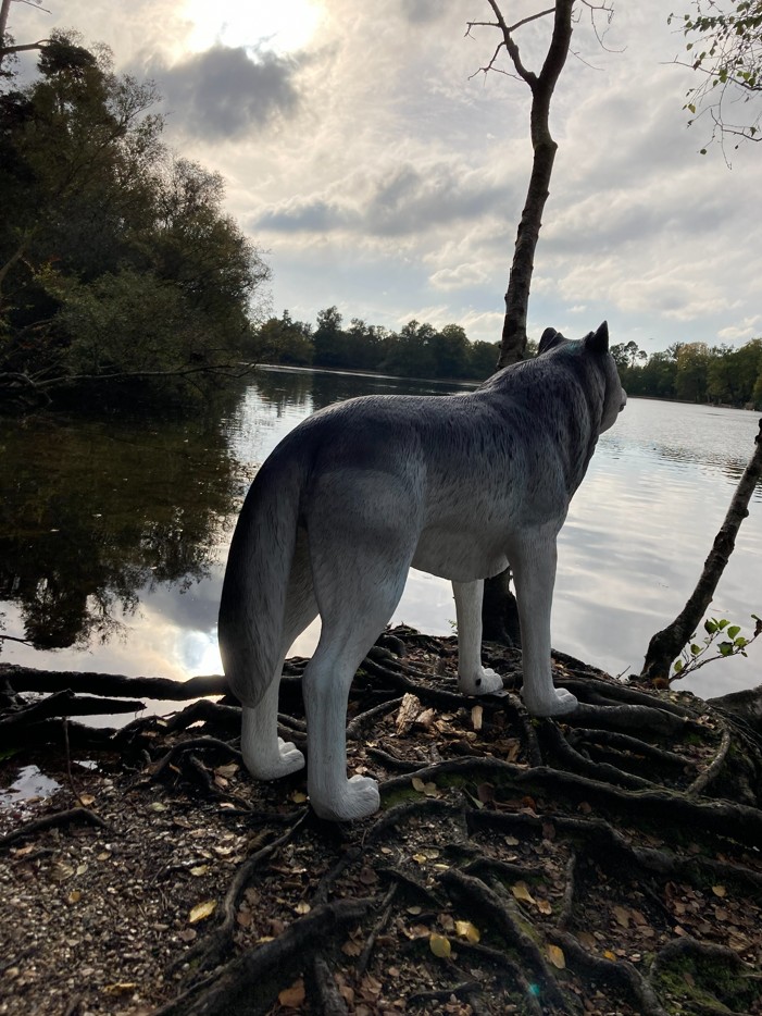 🐺Only 3 days left until The Black Park Halloween Trail begins. Get dressed up for Halloween and see if you can find all the hidden characters in the woods! Running Monday 27th – Friday 31st October 2025.
eventbrite.co.uk/e/the-black-pa…