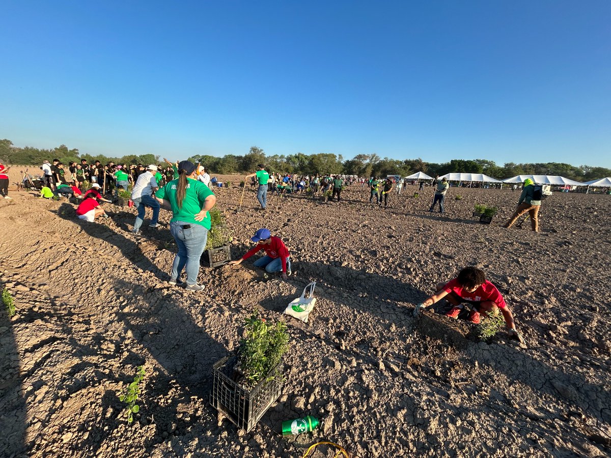 LRGVDC's tweet photo. Thank you @AmericanForests, City of Pharr, TX, Friends of the Wildlife Corridor, @Defenders , &amp; @USFWS for leading the 31st #RioReforestation! We are proud to attend and help plant trees, nearly 13,000 in total! A great step toward restoring our natural environment. https://t.co/3kIFqVrOzI