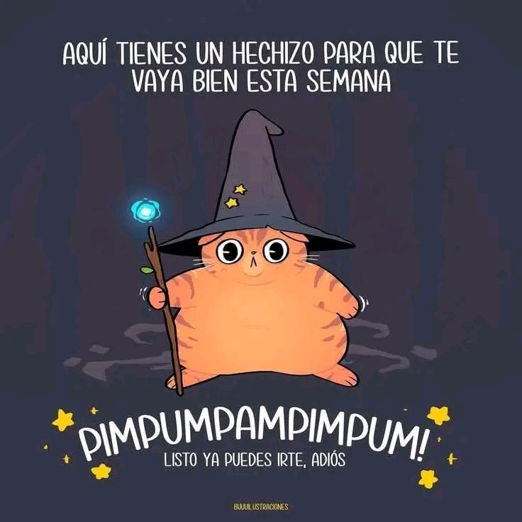 Tiofelino's tweet image. 🪄🐱🐾🙏