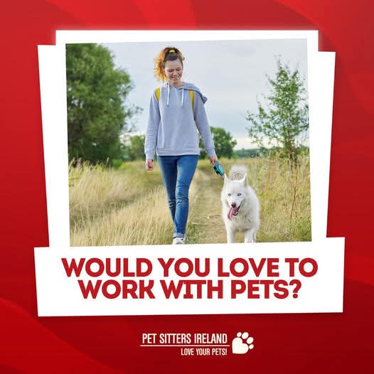 🐶😻 Would you love to work with cats and dogs? 
We are looking for people to walk dogs and feed cats/dogs in the Dalkey and Surrounding area. 

To find out more, please get in touch>> petsittersireland.com/contact-us/ or call 087 7453947