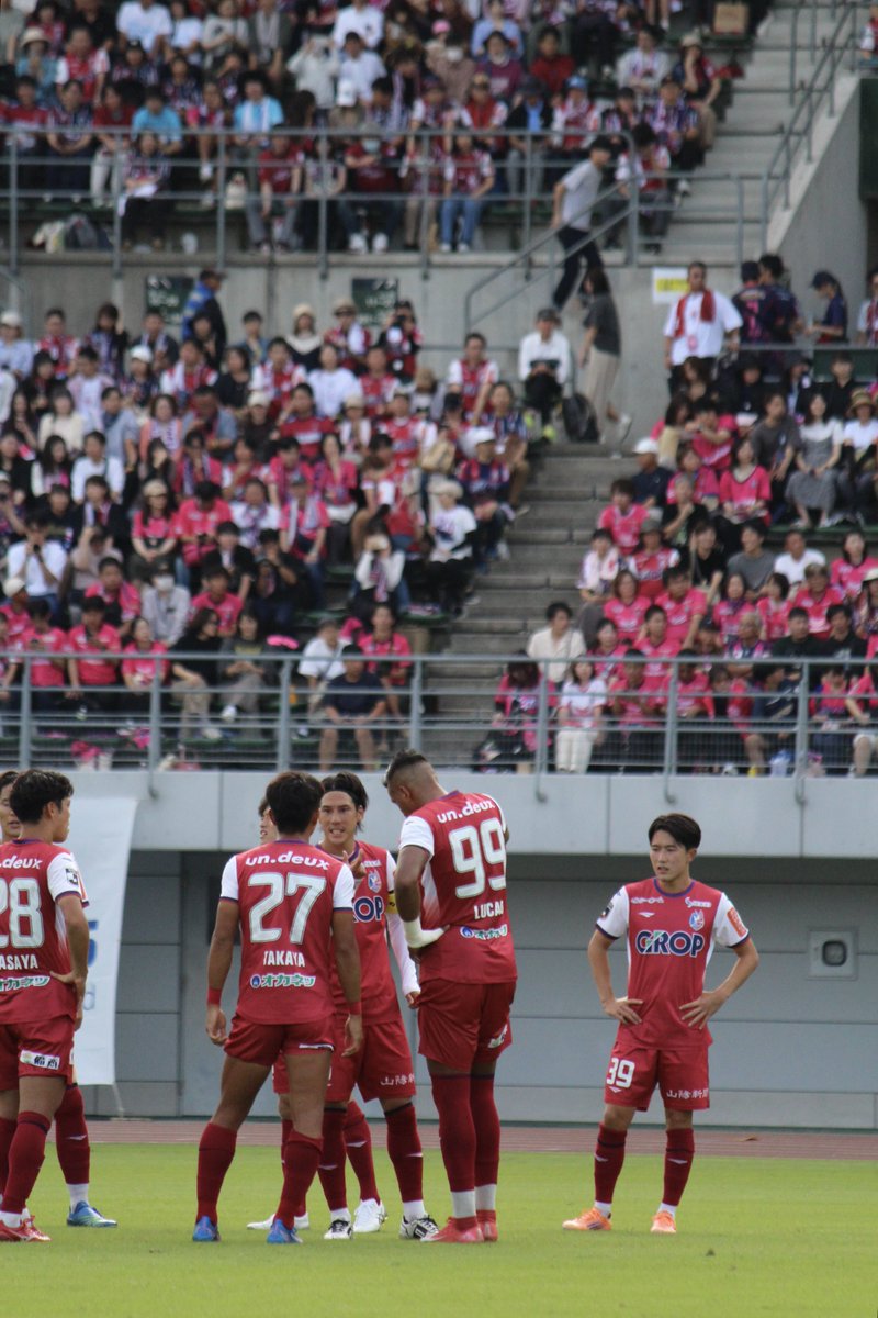 ぷりん tweet media