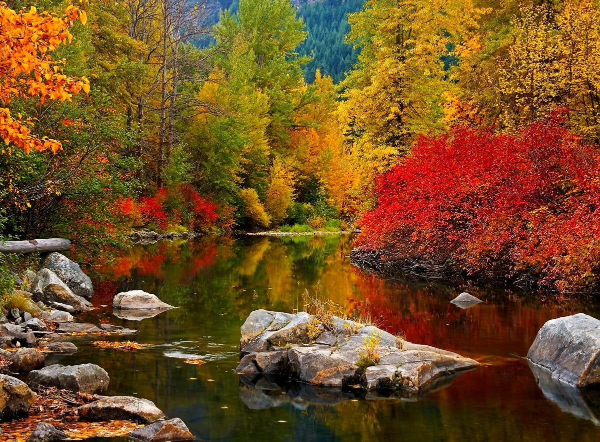 😜 

                 🍃   🍂   🍁   🍃   🍁   🍂   🍃