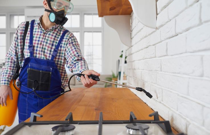 1ManAndALadybug's tweet image. DIY sprays may kill visible pests.

But the nest remains.

That’s why infestations keep coming back.

Full article here:buff.ly/nqHGezb 

#PestControlTips #PestPrevention