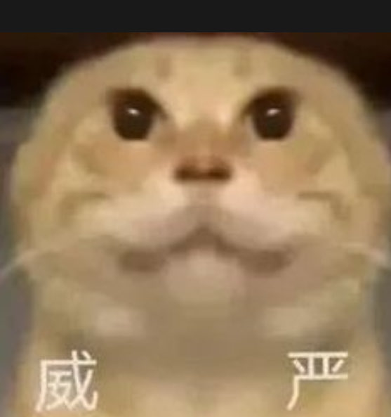 xiaolin8880's tweet photo. 币安这次直接把 Chinese 板块给安排上了

最让我惊到的是 “哈基米”，这玩意儿简直是天选萌物，自带可爱 buff，而且背后的庄也太顶了，绝对是巨鲸级别的控盘能力。

之前好几次碰到大饼吸血行情，其他山寨币都跌麻了，就它稳如老狗，纹丝不动；

后来大盘跳水，它照样硬气，完全没在怕的。

 “哈基米” 之前上 alpha ，要是换别的项目早该震荡回调了，结果它还是一路强势，这韧性真的没谁了！

还有社区里的人都在努力建设，希望下一个上合约的中文币是哈基米。
