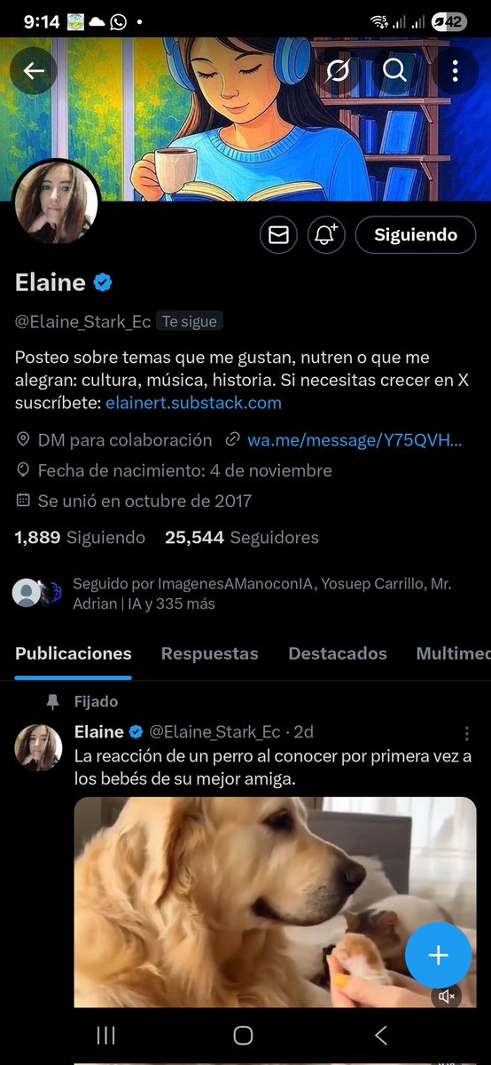 Tweet media one