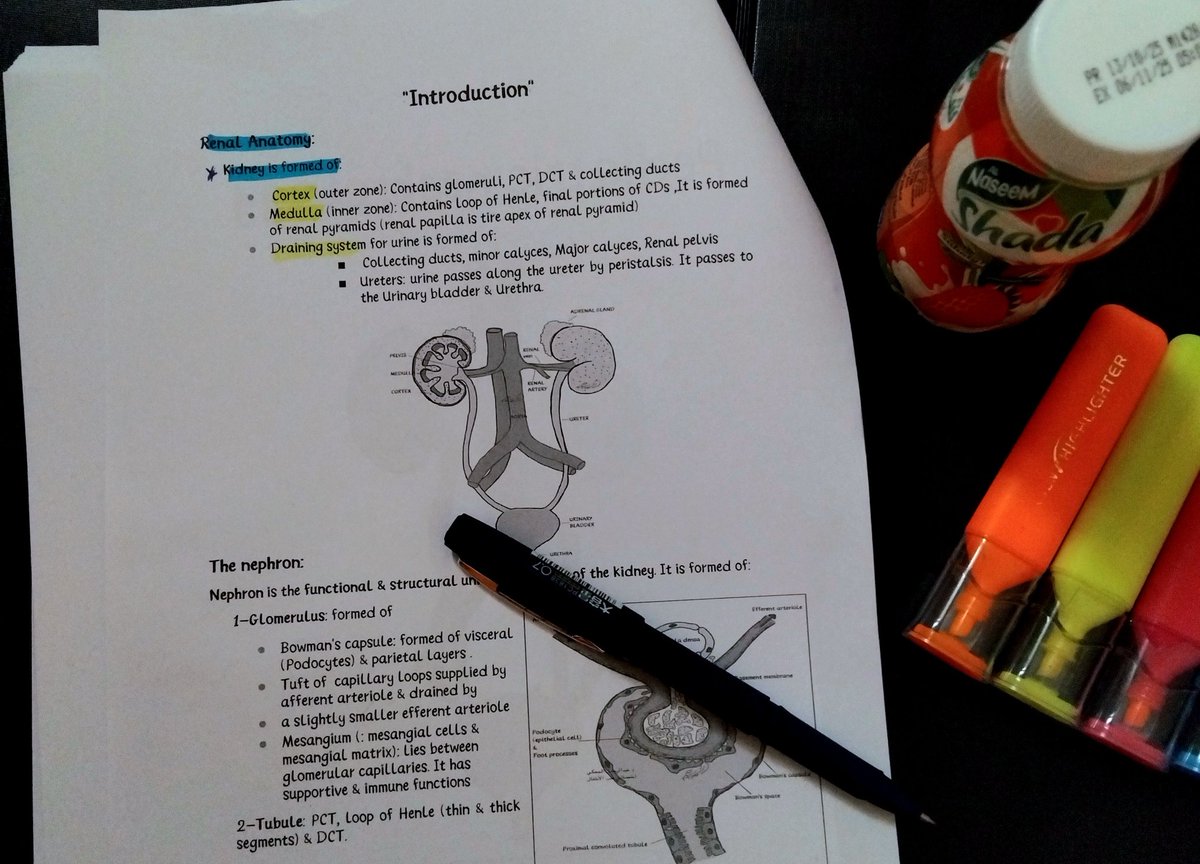 المتعة في كورس الرينال هيا نفسها 🫠
 من سنة ثانية ونا ديما نستمتع ونا نقرى في 🤍