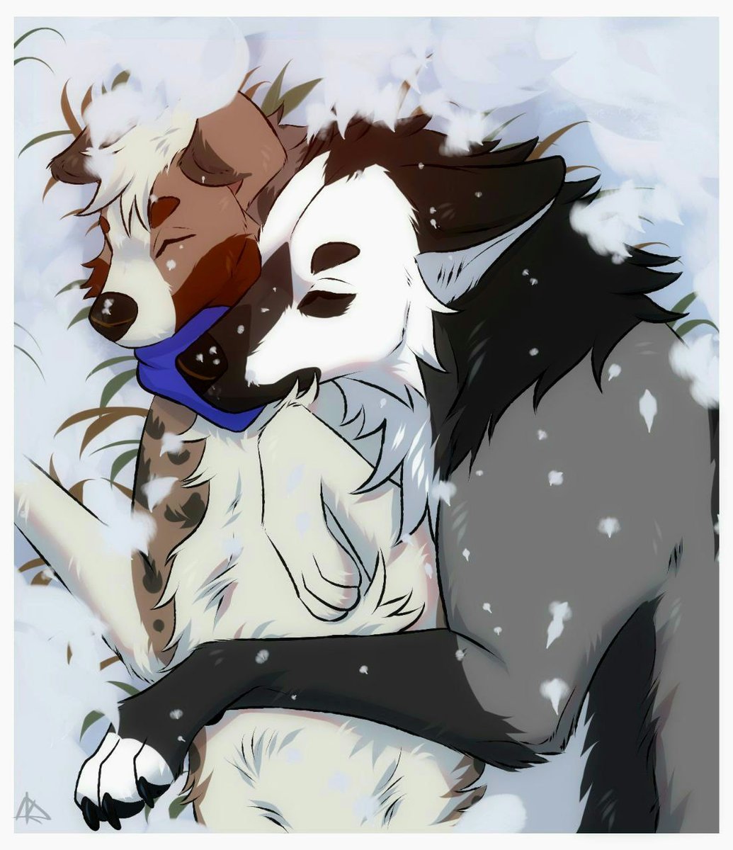 cattledoggo's tweet image. Winter is coming and snuggling with this handsome direwolf 🥰 
Direwolf belongs to hutchamberheart on FA 
Art is done by midzushiro on FA 
#art #furry #feral #snuggle #cute
