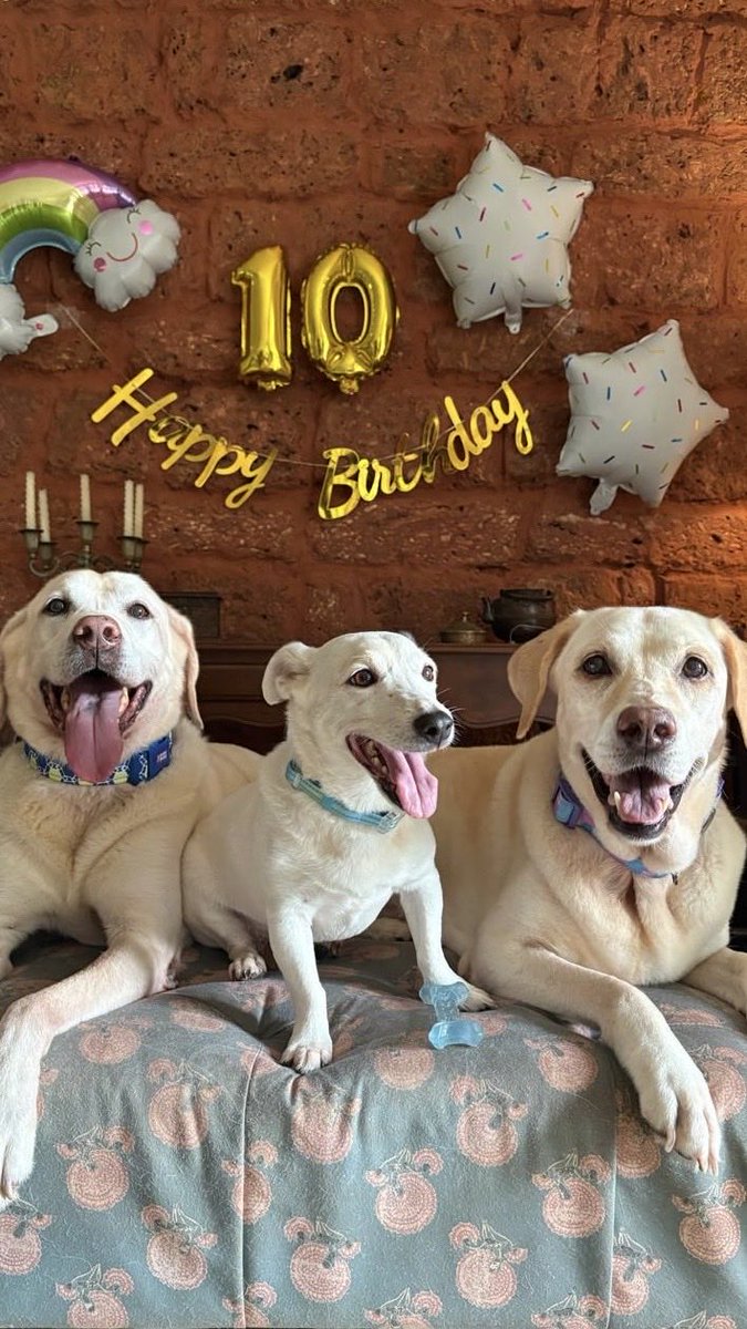 Zafar Rais tweet media