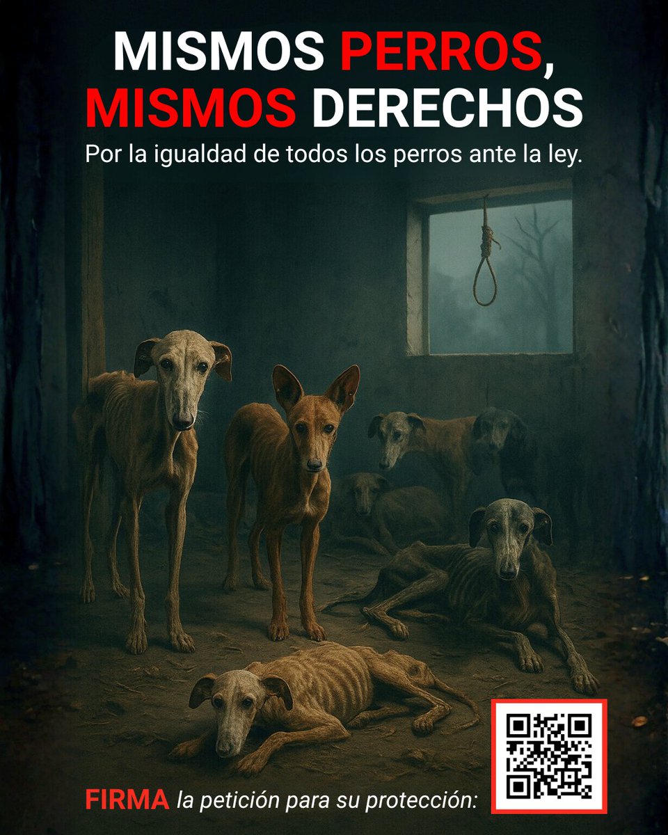 🔴 ACTÚA. Firma y difunde: Mismos perros, mismos derechos. No a una nueva exclusión de los perros de caza . ✍🏼👉 c.org/fKzMWc4cpn #ActúaPorEllos