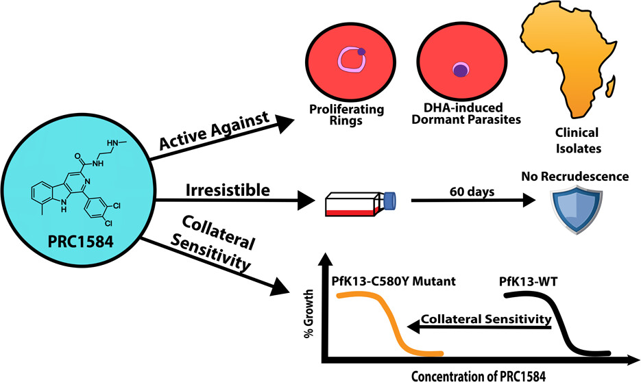 UGA CTEGD tweet media