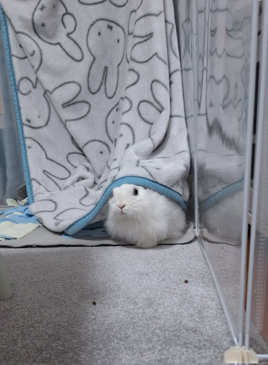 目が合っちゃたね
