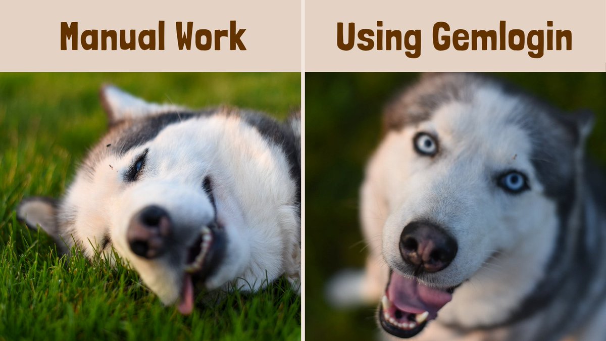 AthenaGem91's tweet image. Manual Work = หมาหมดไฟ 🔋
Using GemLogin = หมามี Workflow 🧠⚙️
#GemLogin #AutomationMadeEasy #Automation
