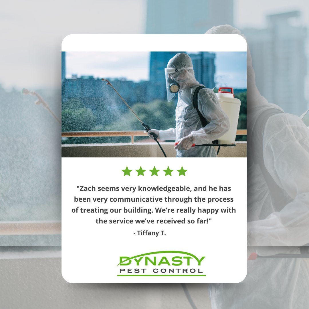 DynastyPest's tweet image. Get pest control that is more than just the essentials.

Are you ready for service that puts your mind at ease? You can make an appointment today at dynastypest.com

#pestcontrol #AddisonTX