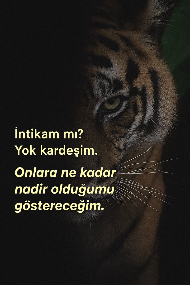 derinbirneffess's tweet photo. https://t.co/6XSg9PnXs6