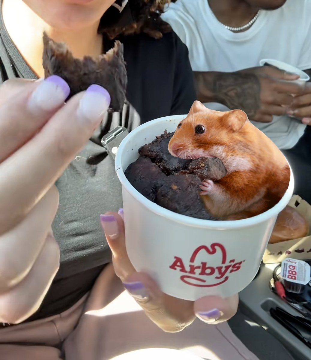<a href="/Arbys/">Arby's</a> Nomnom's steak nugget review coming soon 🐹