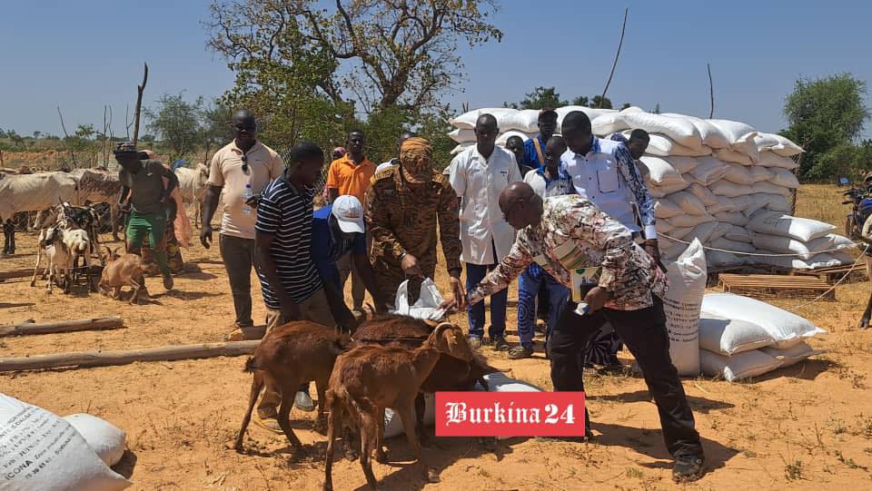 burkina24's tweet photo. Gabou (Barsalogho) : Le ministre d’Etat Ismaël Sombié honore son engagement avec 255 petits ruminants et 30 bovins
Le Ministre d'État chargé de l'Agriculture, le Commandant Ismaël Sombié, a rempli sa promesse à Gabou dans la commune de Barsalogho.

https://t.co/c5Ec4WTAo4 https://t.co/85xh4oAhzu
