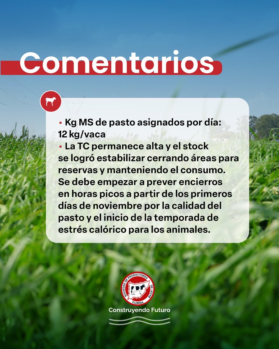_splf's tweet photo. Info #planverde
Gestión del pasto 🌱
🗓️ 03/10 al 18/10
#splf #servicios #planverde #propasto https://t.co/sy0Hn17LjD