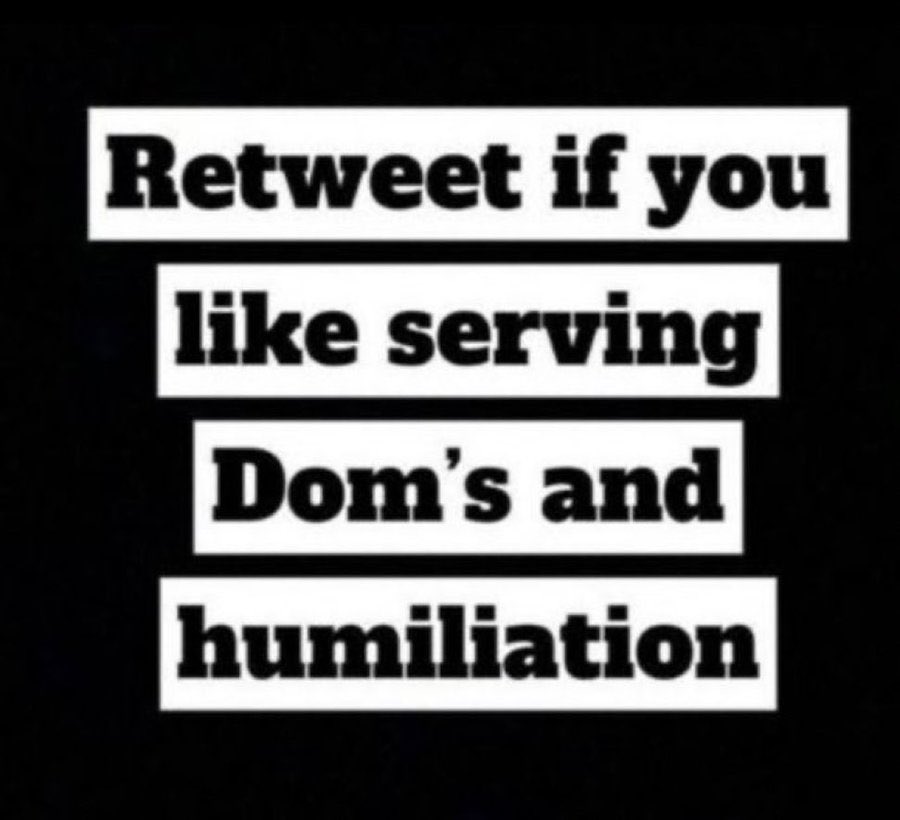 Greg Webster tweet media