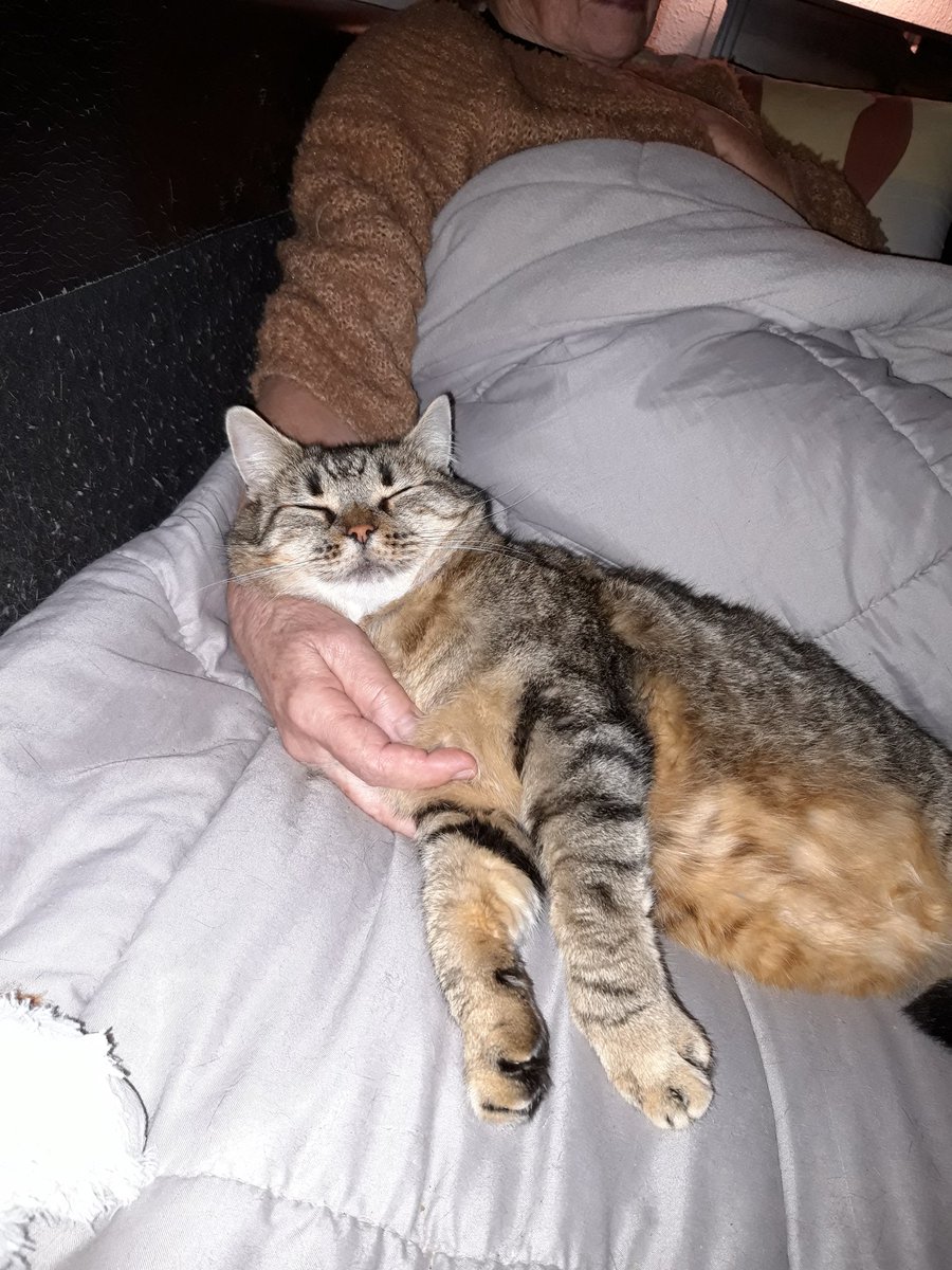 Mamie elle me ramène à mangir sur le granapé !!🤐😻😻