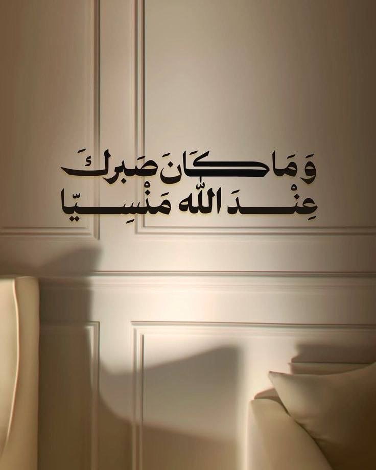 🎀 tweet media