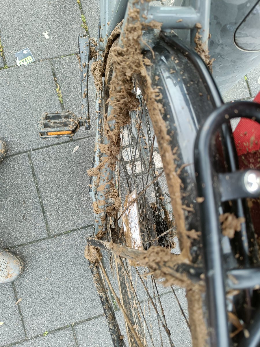 Arbeitsweg heute nur ganz leicht matschig 🫠
#fahrradalltag