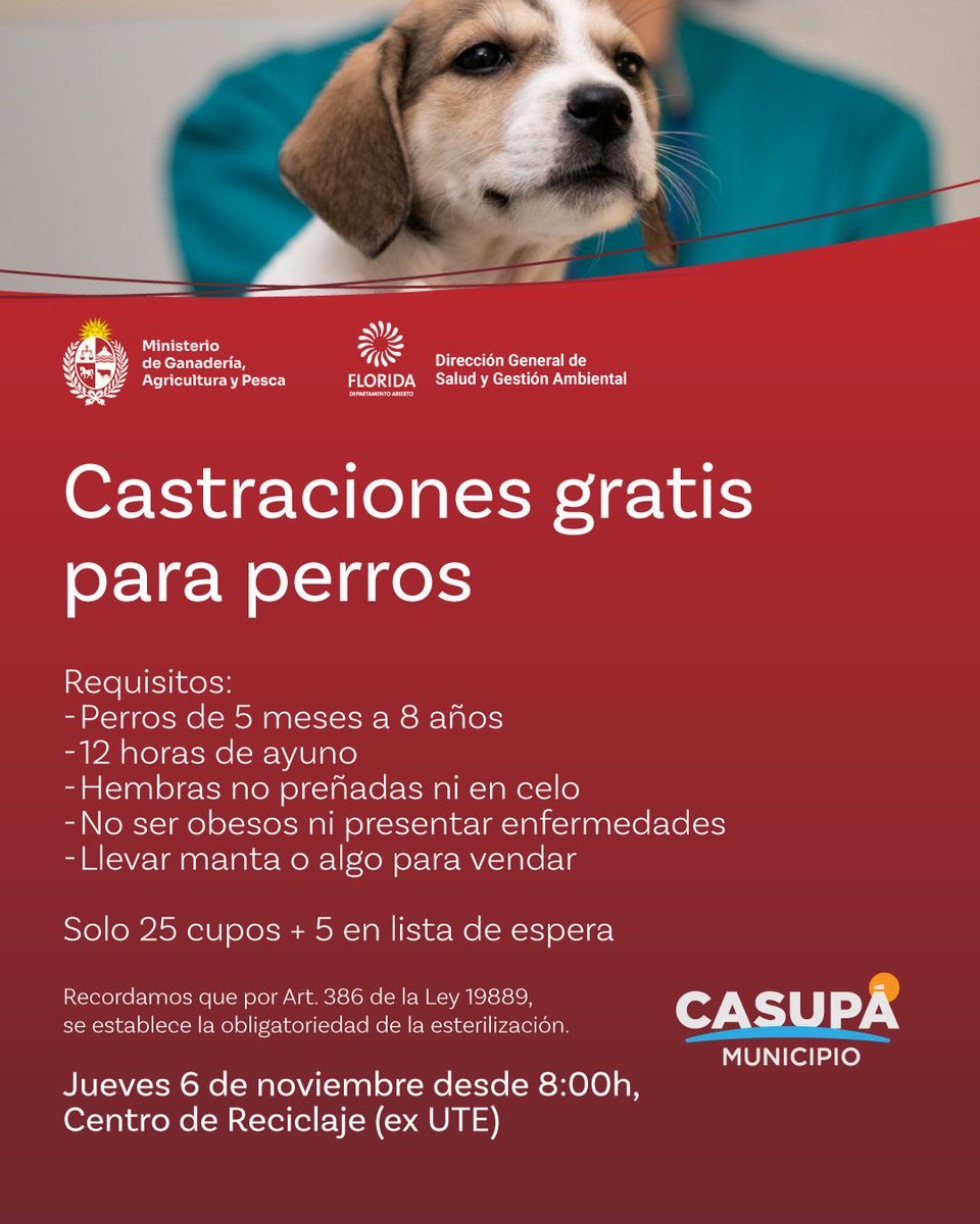 Castraciones gratis para perros. 
Cupos limitados.