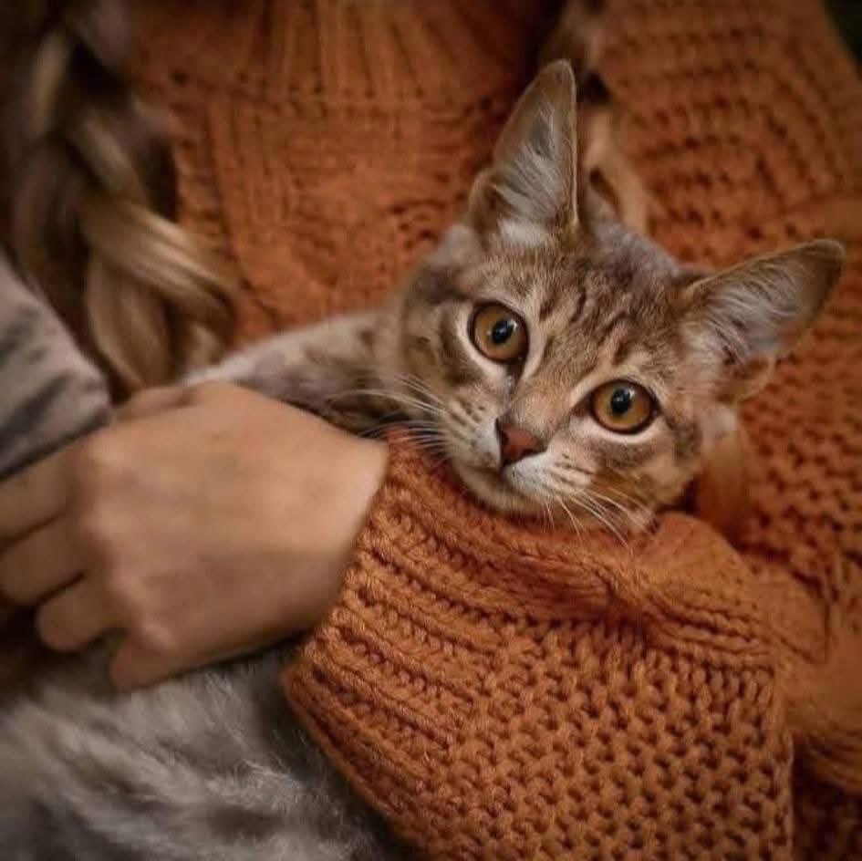Bir insan nereye giderse gitsin yanında götürdüğü 
en önemli iki şeyden 
biri yüreği,
diğeri de zihnidir.
Eğer kafası sıkıntılarla doluysa,
dünyanın en huzurlu 
yeri bile rahatlatmaz. 
Kocaman,huzur ve sevgi dolu bir kalbe sahipse de nereye giderse gitsin yalnız kalmaz.
Size
