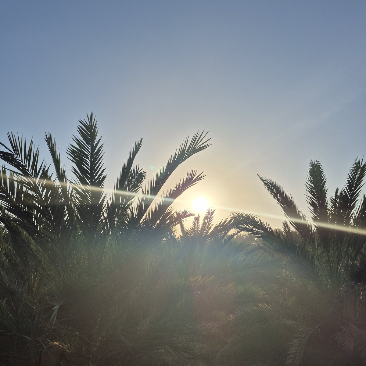 قسم بالله تصويري