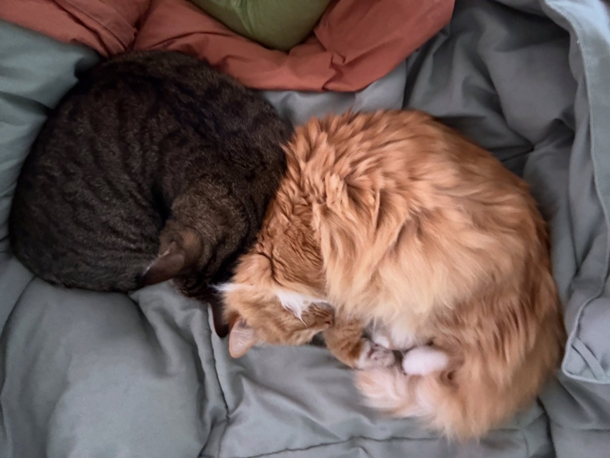 Chilly weather finally arrived overnight.