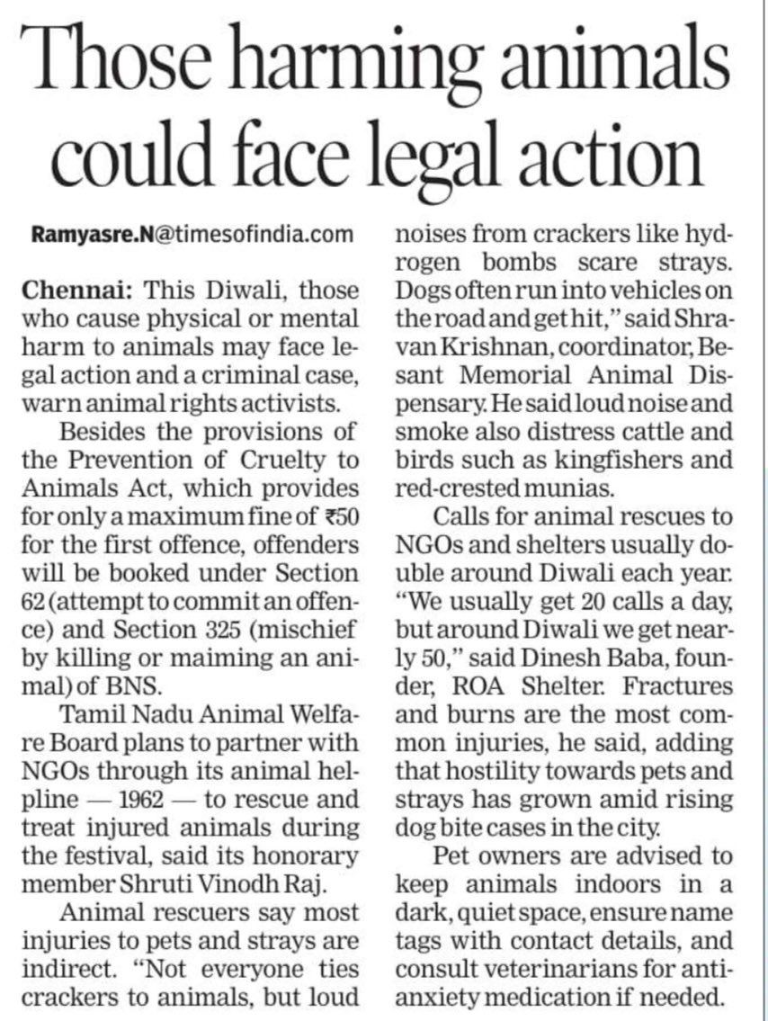 Late, but happy Diwali to everyone celebrating and also, keep them animals safe 🐾

#Chennai #Diwali2025 #SafeforAll