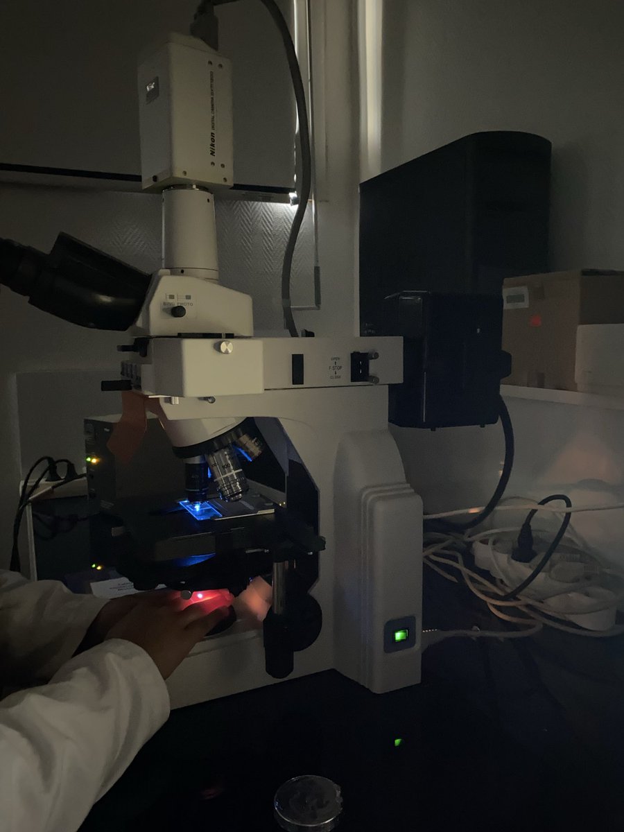 on a commence les tp (jv bientot mourir)