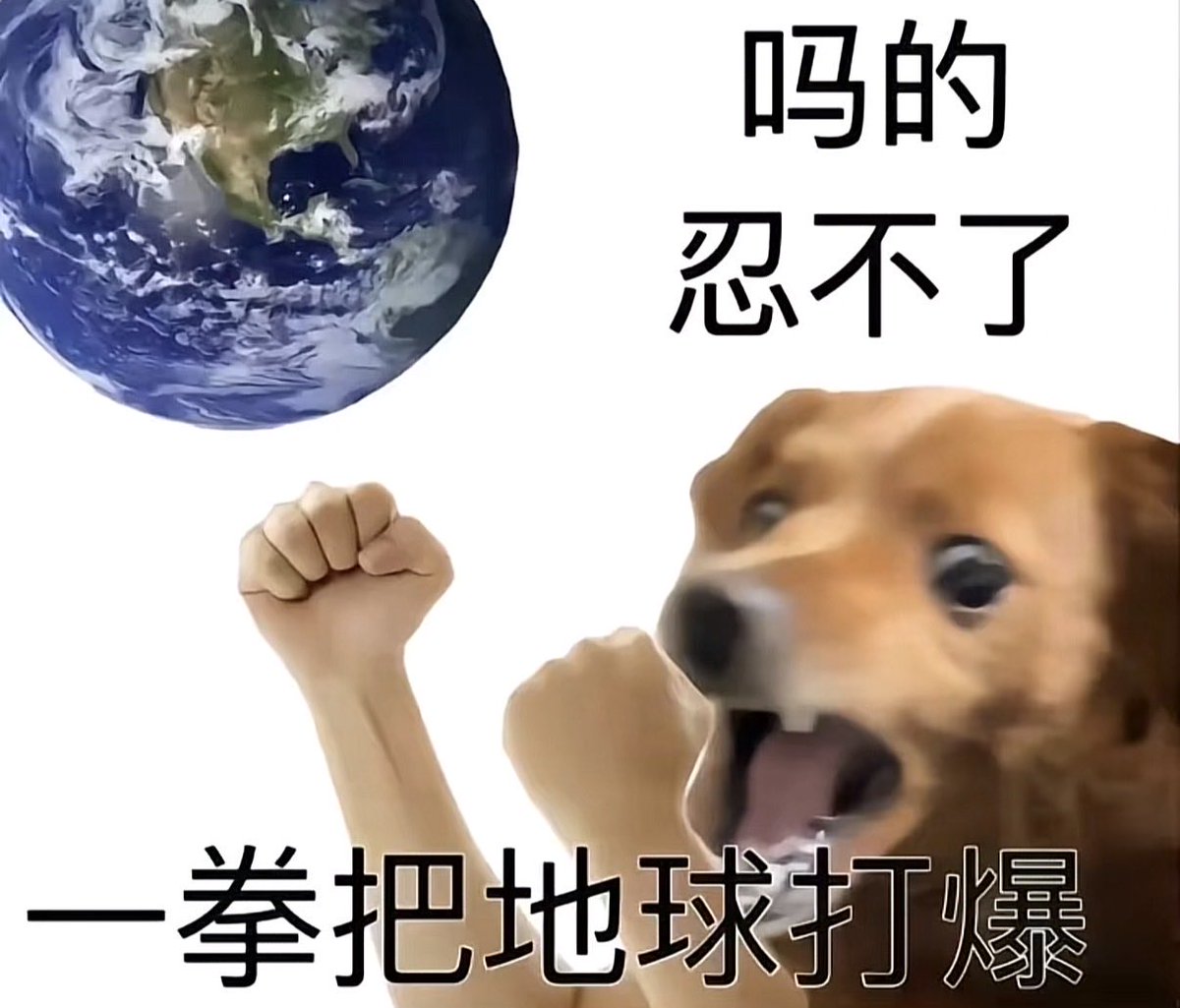 海盐糖 tweet media