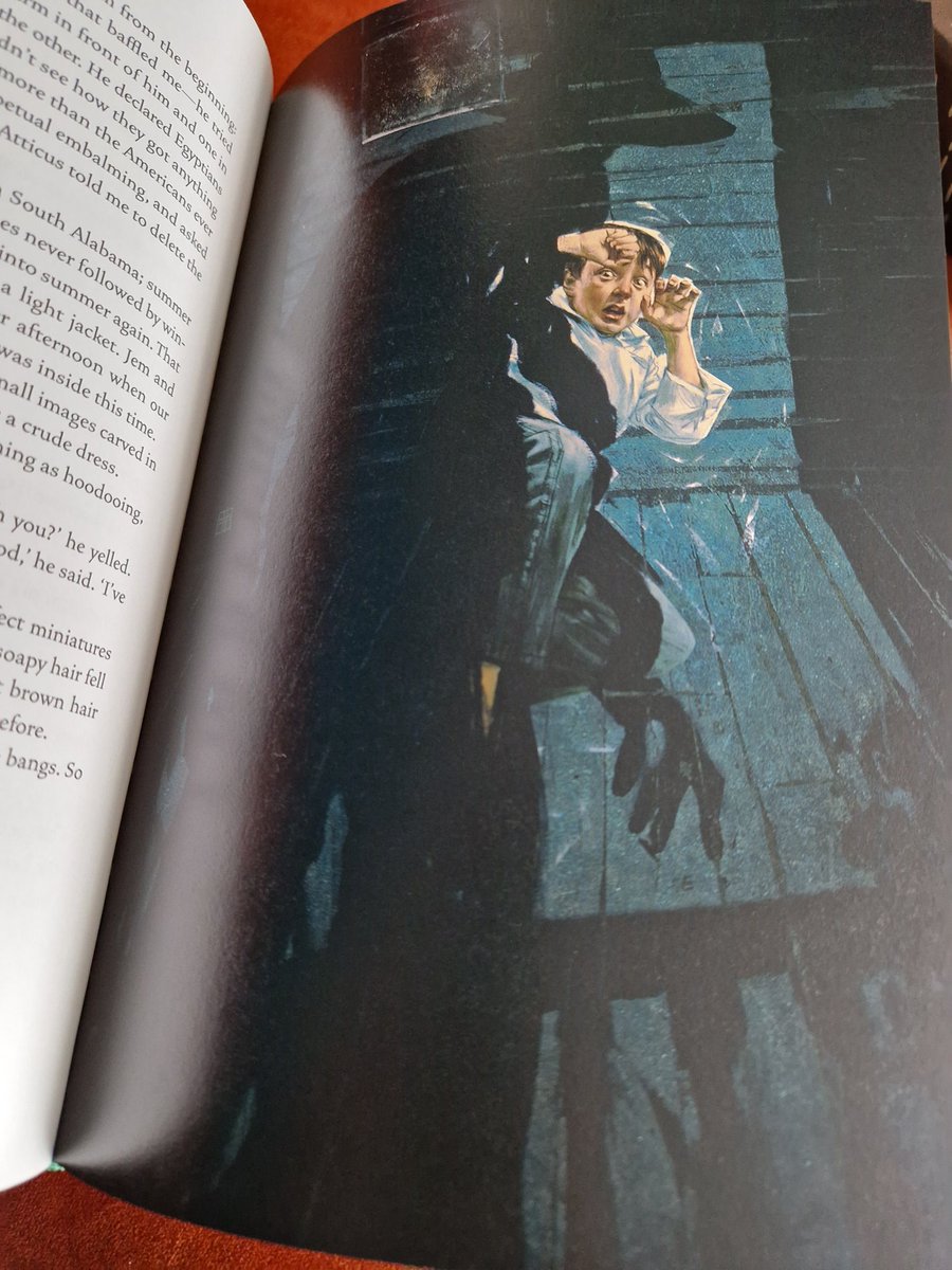 RinaMMc's tweet photo. A stunningly illustrated Folio Society copy of To Kill a Mockingbird. Beautiful birthday present from @Otisbragg https://t.co/SdyeZdRCYV