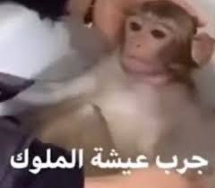 عابد (@doux_70) on Twitter photo 