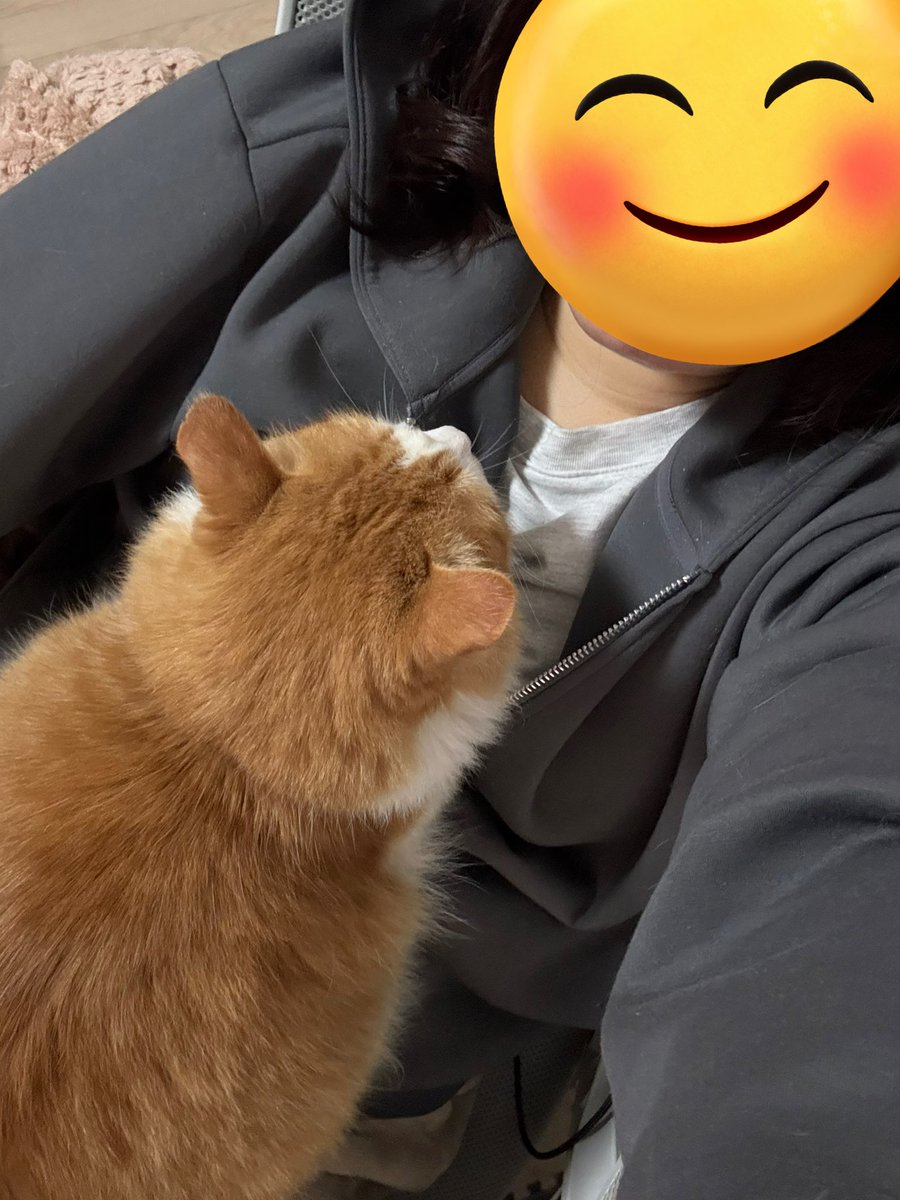 ししねこ。 (@shishinyanko445) / Posts / X