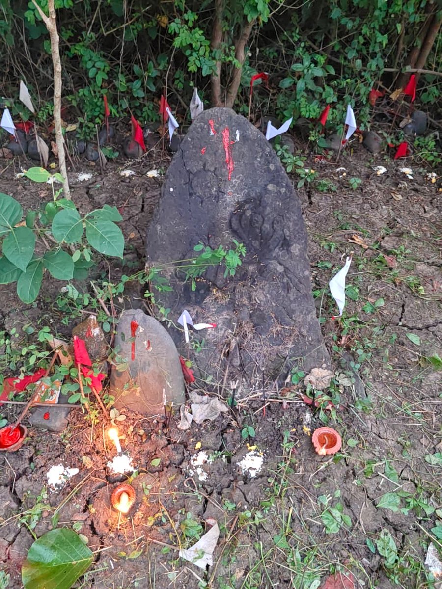 Falguni Chaudhari tweet media