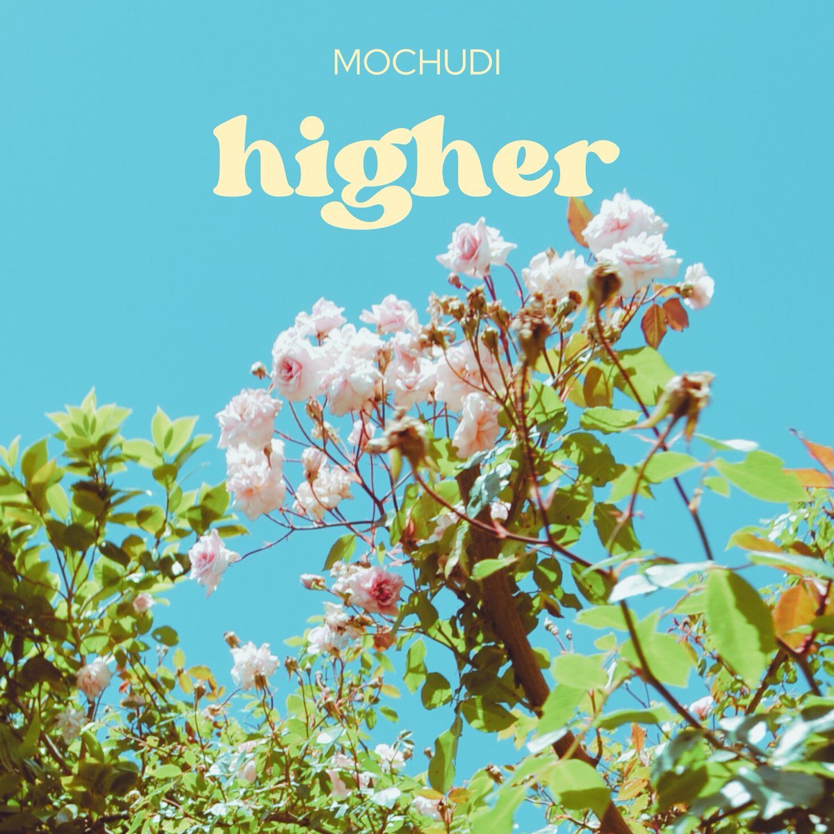 7 november 2025 #SaveTheDate new single #Higher Cover art reveal, do you dig it?! #newmusic #independentartist #mochudimusic #7november2025 #producer #432Hz