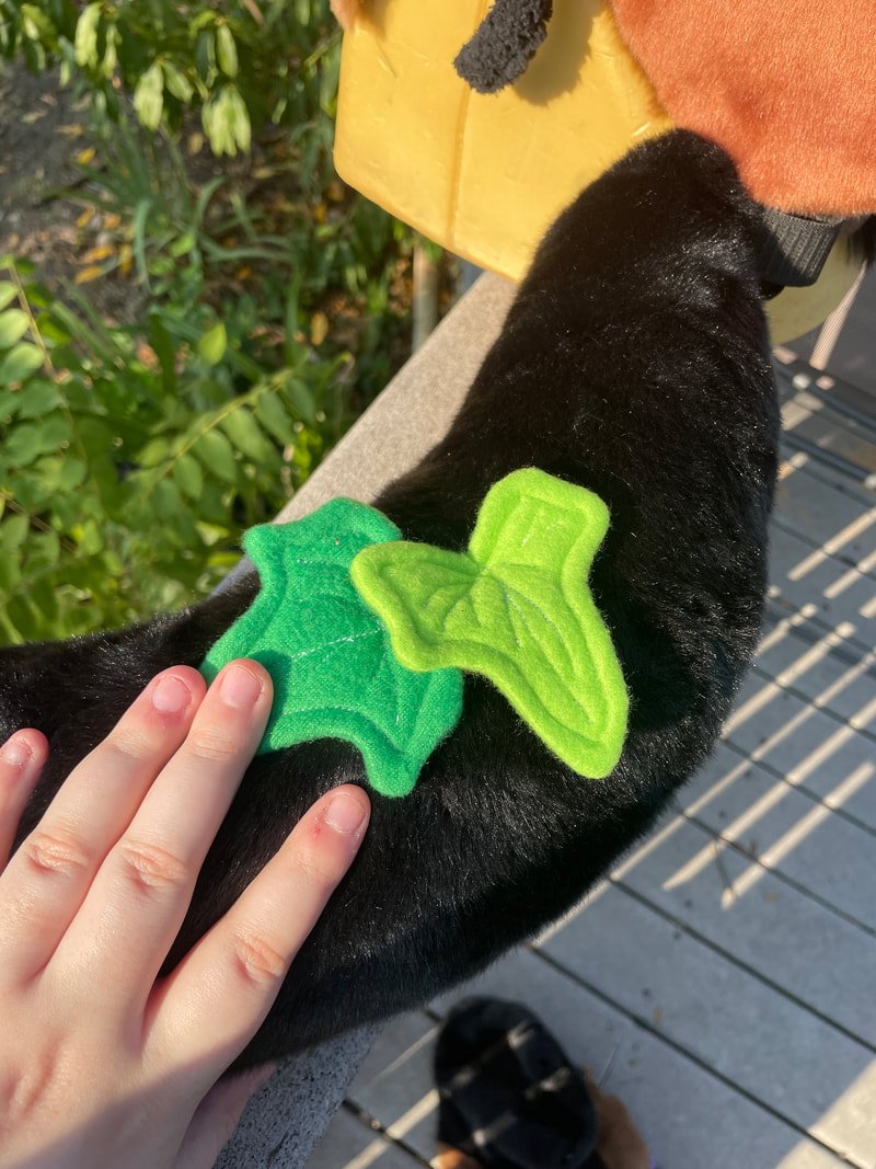 Con_Rotty🐾 tweet media