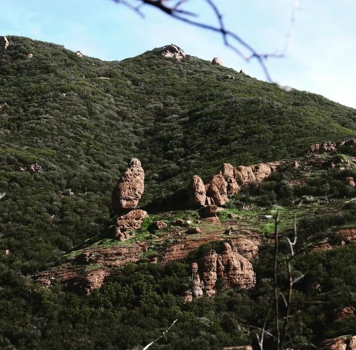 stanasposts's tweet image. #StanaKatic #Perched
Join me in counting down to #EarthDay. 5 days to go! Leading up to April 22nd, I'm going to post nature-centric photos every day. Share yours &amp;amp; don't forget to tag me. 💚💙😘 #Environment #Nature