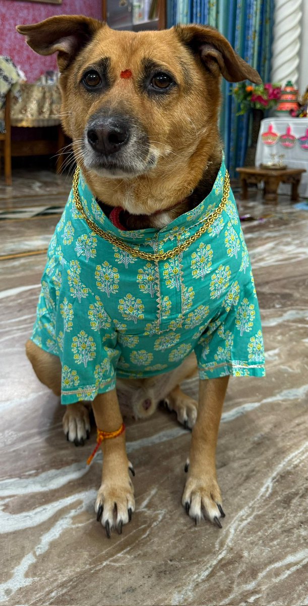 Pikachu with Khurta❌️❌️

Doggie with khurta ✅️✅️