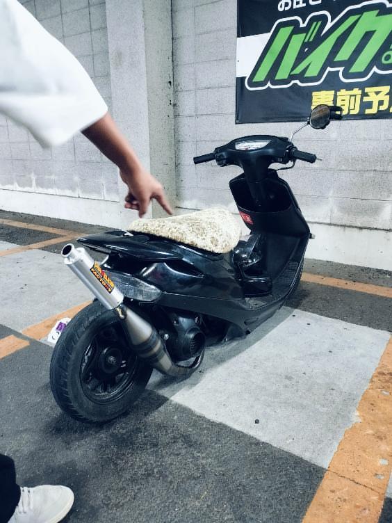 マコモ(𝒁𝑿) on X