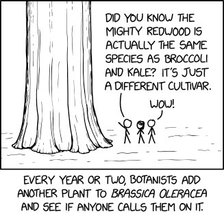 There’s an XKCD for this