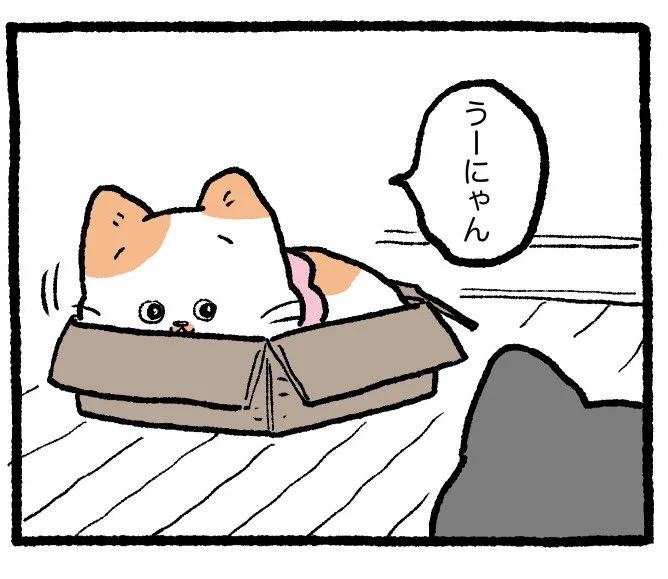 やじま@ねこおじ7・8巻発売中🐱 on X: 