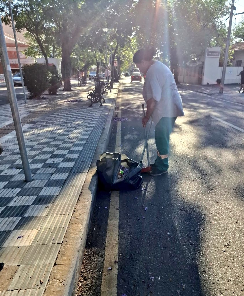 📍 Paseo central de la avenida Carlos Antonio López

👉🏻 Otro punto que cuidamos de forma habitual, por el bienestar de los vecinos 💪🏻

#GestionarEsServir