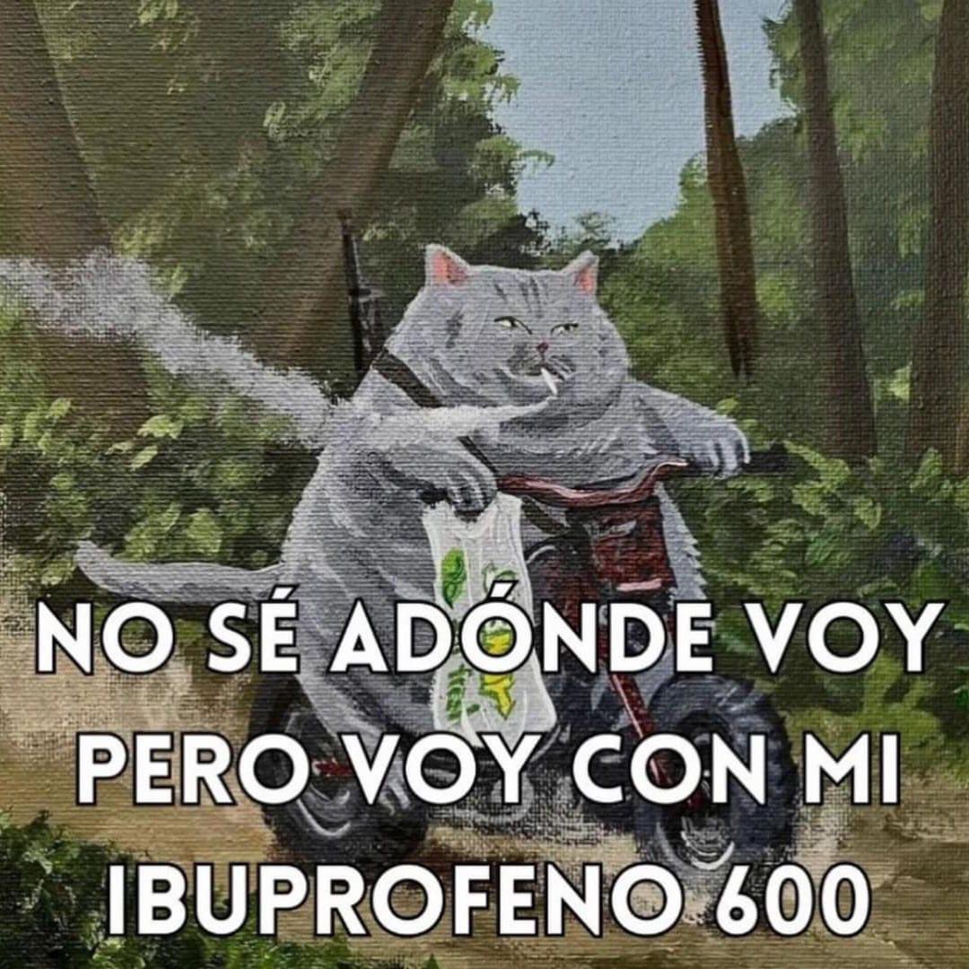 Frases Barbie (@barbie_context) on Twitter photo 